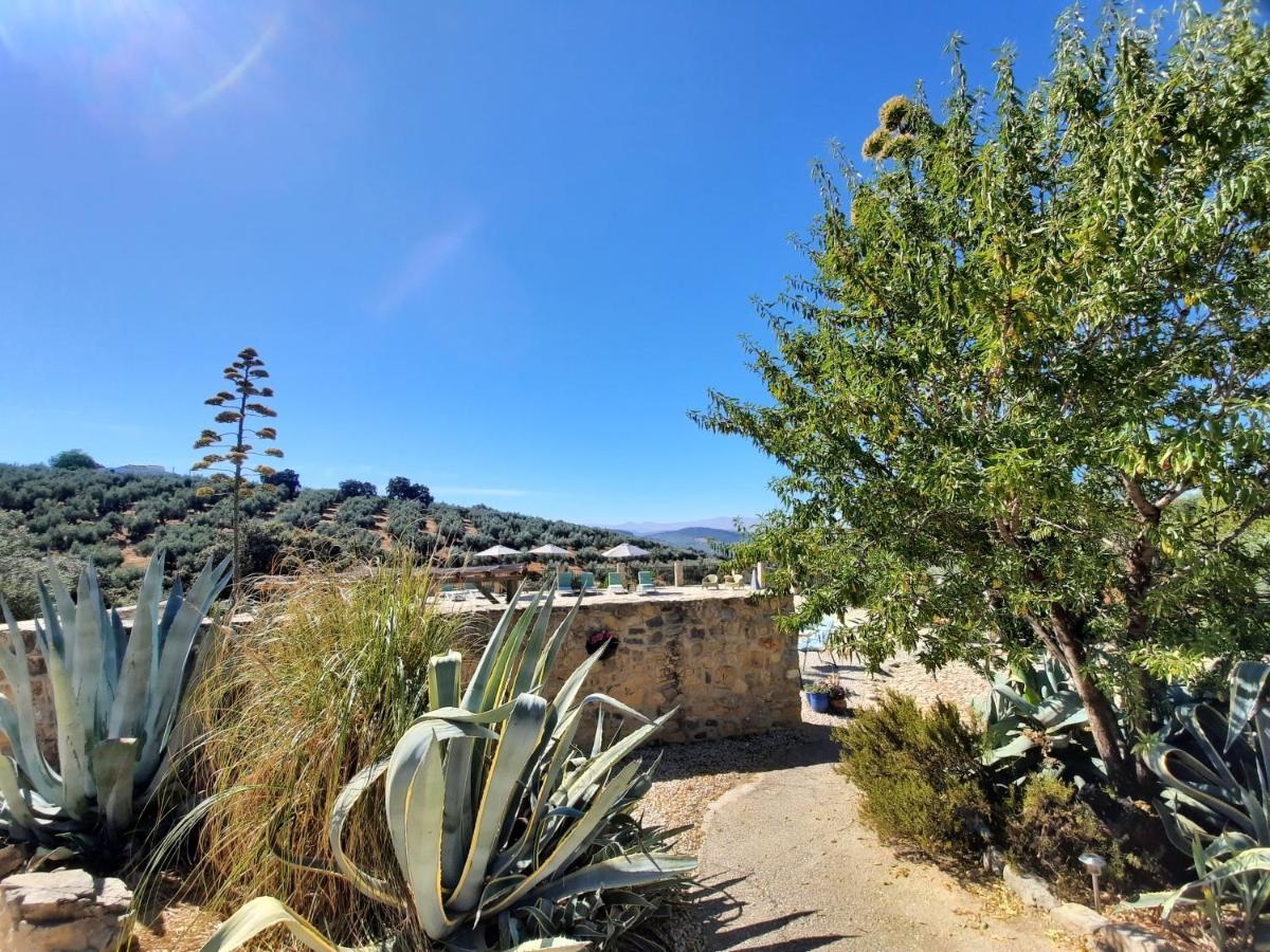 Hacienda La Buena Vida B&B En Appartementen Casita La Bruja Algarinejo Exterior foto