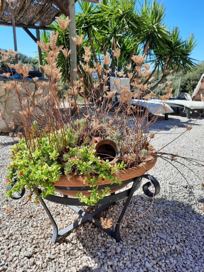 Hacienda La Buena Vida B&B En Appartementen Casita La Bruja Algarinejo Exterior foto