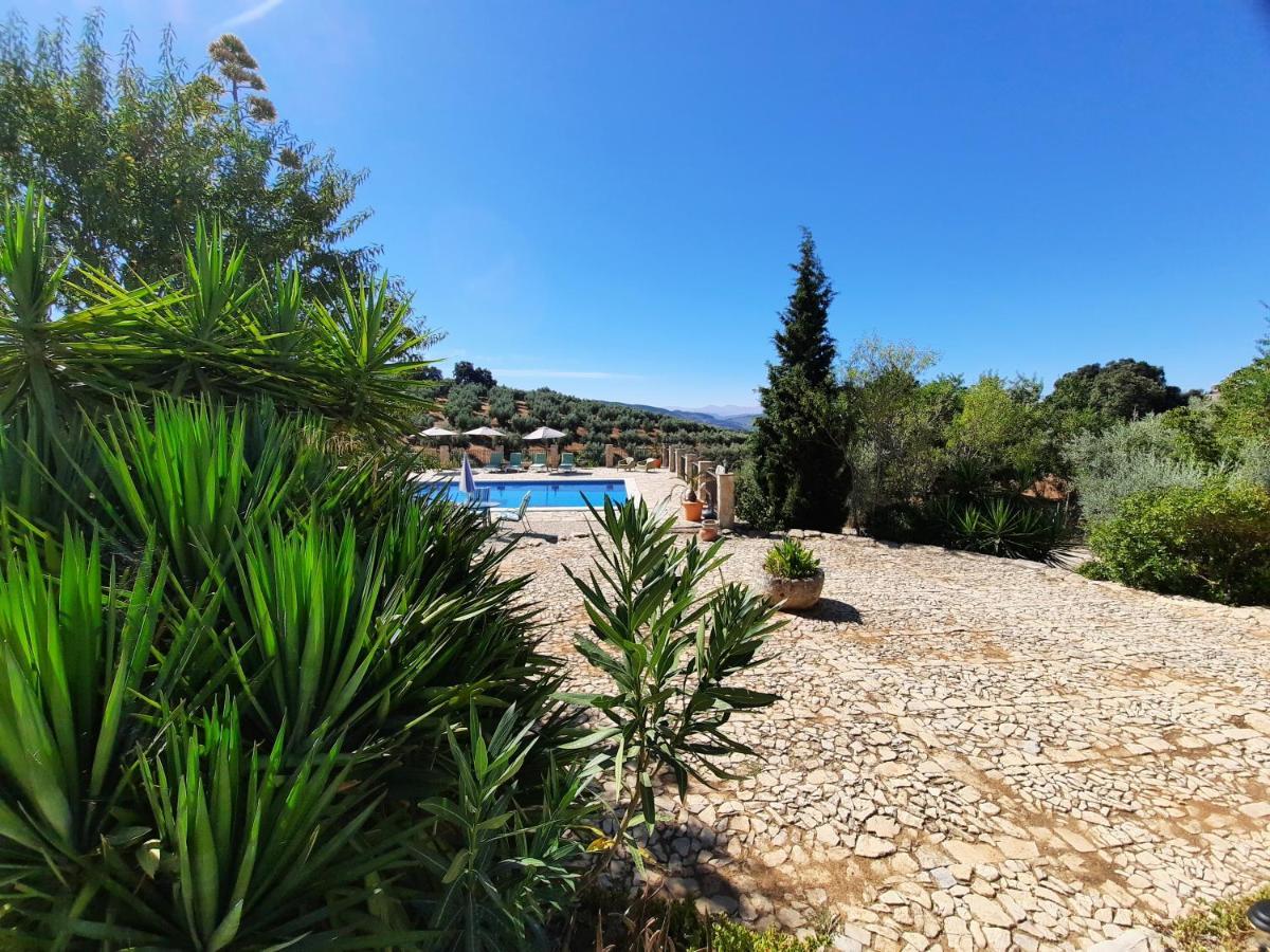 Hacienda La Buena Vida B&B En Appartementen Casita La Bruja Algarinejo Exterior foto